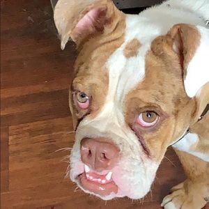 Meet your Posher, Natalie